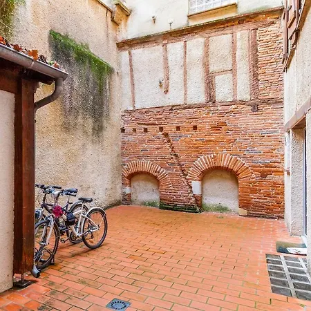 Apartment Hyper Centre Type Loft Toulouse